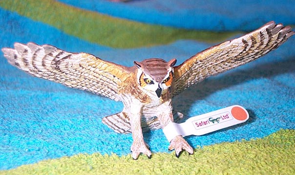 Owl- Great Horned