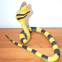 Yellow Cobra