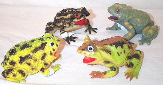 Exotic Toads & Frogs