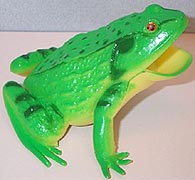 Green Squeak Frog