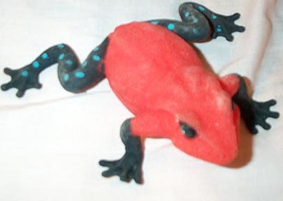 Strawberry Dart Frog - Squooshy