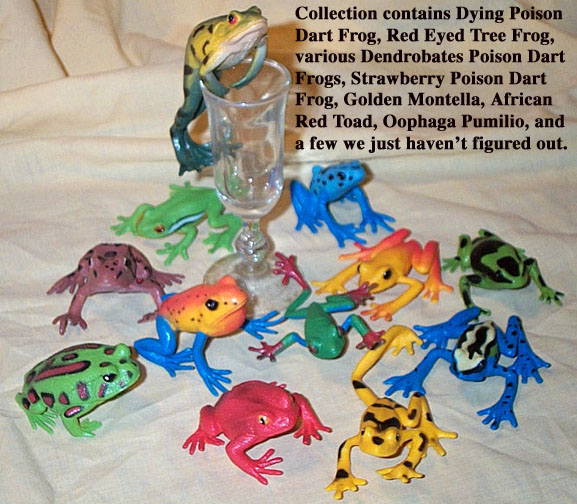 Frogs - Nice Assortment of 12