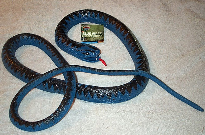 Blue Viper - Large