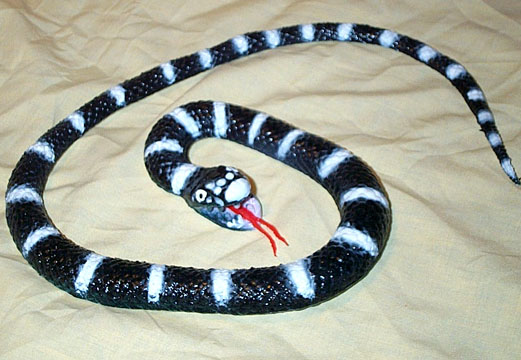 California King Snake - Small