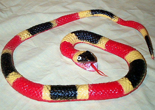 Coral Snake - Small New