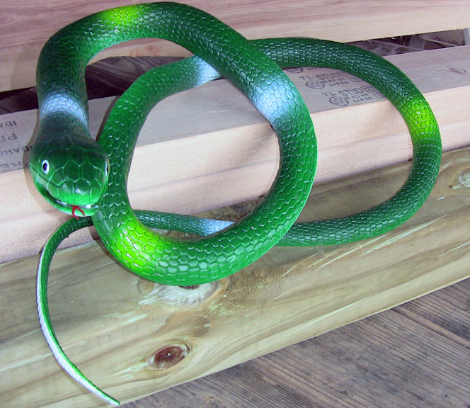 Big Green Snake
