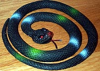 Red-eyed Pit Viper