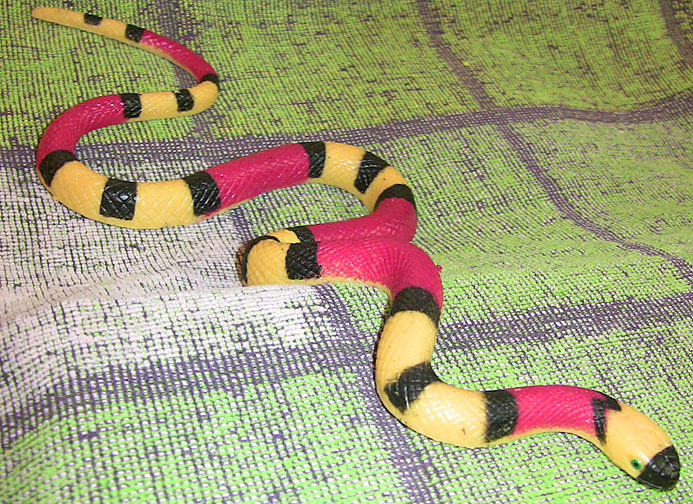 Coral Snake - Texas - Stretchy