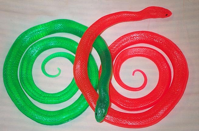 Translucent Snake - Coiled