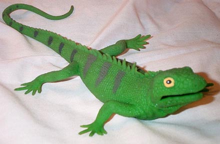 Iguana - Squooshy