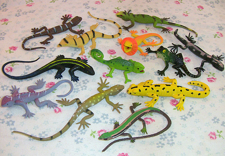 Lizards - 12 Little Exotic