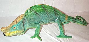 Parson's Chameleon - AAA