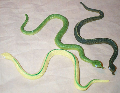 Ribbon Snakes & Green Rattler