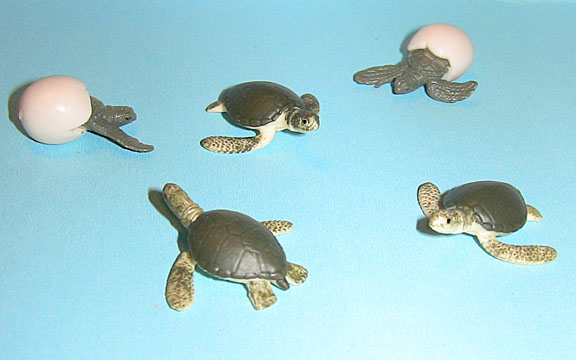 Sea Turtle - Mini Babies