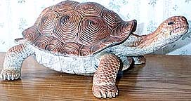 Tortoise - Large - AAA