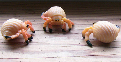 Hermit Crab - Mini