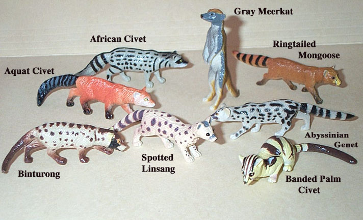 Civet Family Minis