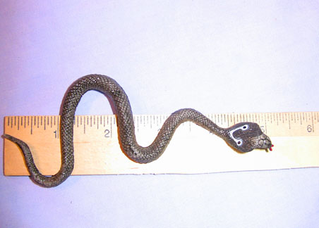 Cobra - Tiny Asian