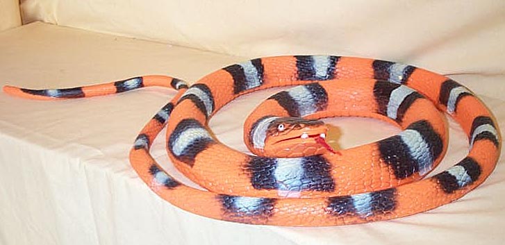Eastern Milk Snake - Large