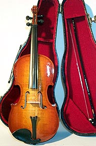 Violin - XLarge