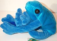 Humpbacked Blue Poison Dartfrog