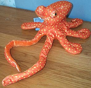 Octopus - Orange spotted