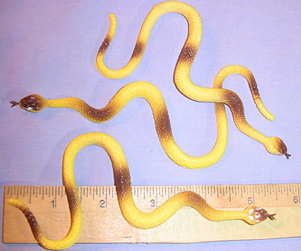 Rattlesnake - Yellow/Brown