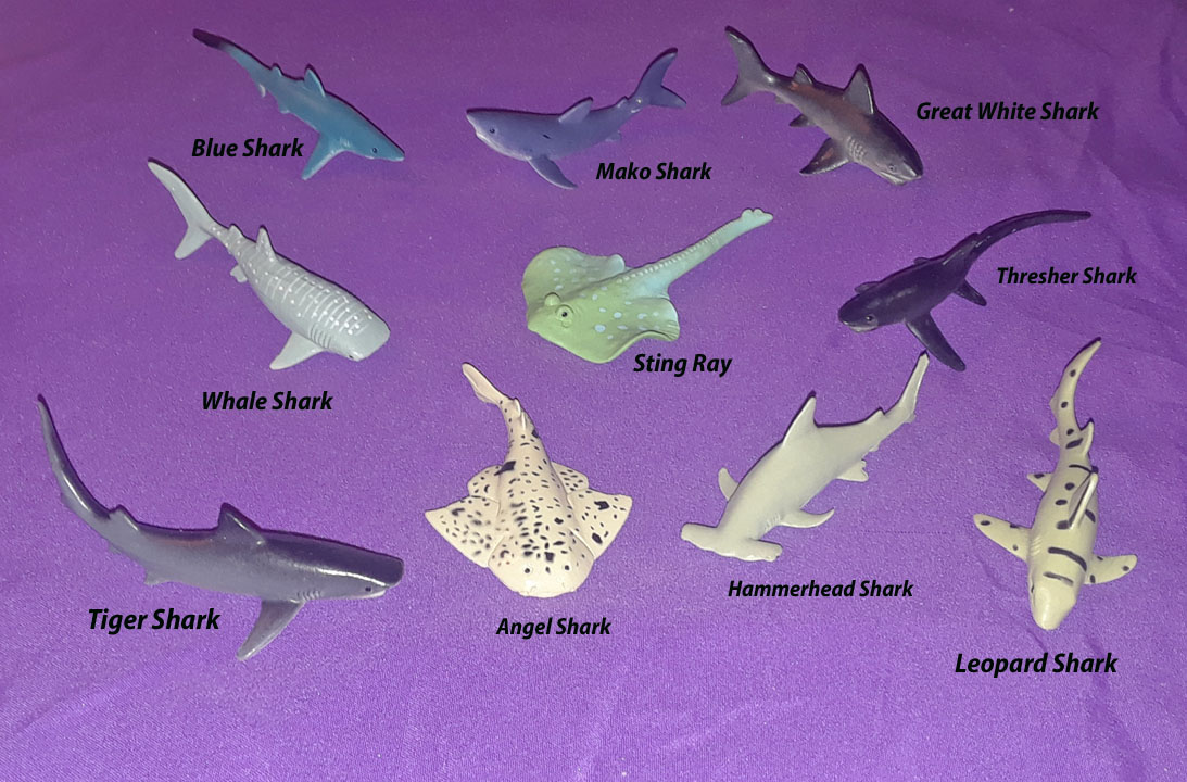 Shark Minis - 10