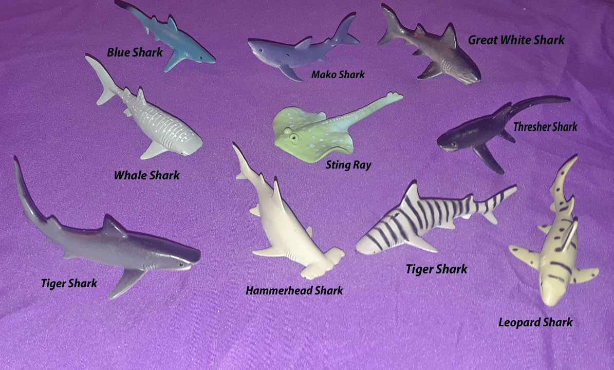 Shark Minis - 10
