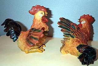 Roosters - Quarreling