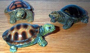 Turtle - Stonelike