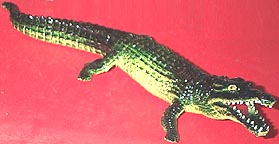 Alligators/Crocodiles