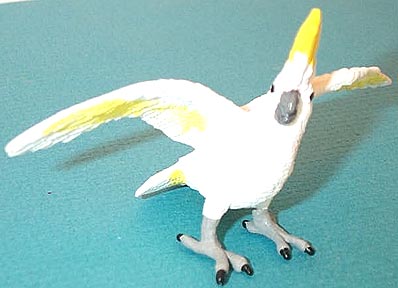 Sulfur Crested Cockatoo