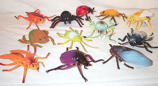 Assorted Big Bugs