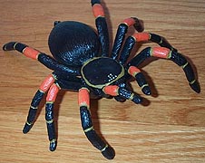 Tarantula