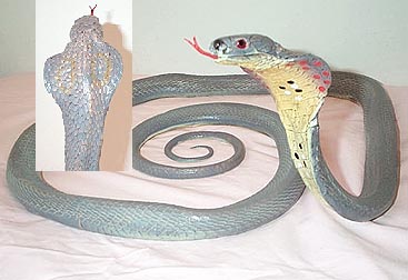 Purple Egyptian Cobra