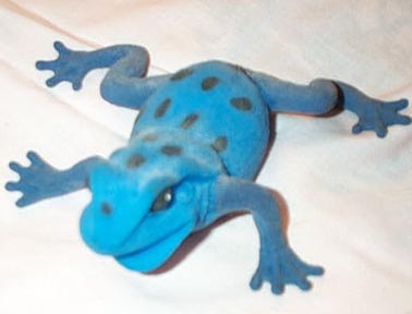 Blue Dart Frog - Squooshy