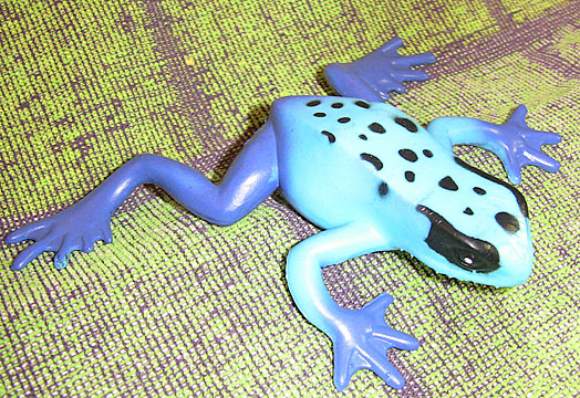 Azureus Dart Frog - Stretchy