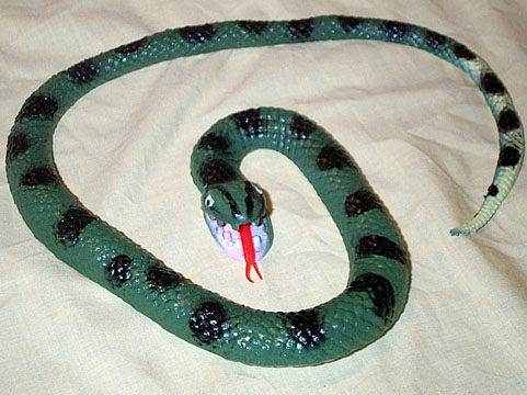 Anaconda - Small