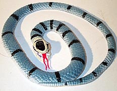 Blue Sea Snake - small