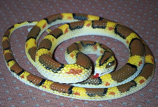 Carpet Python