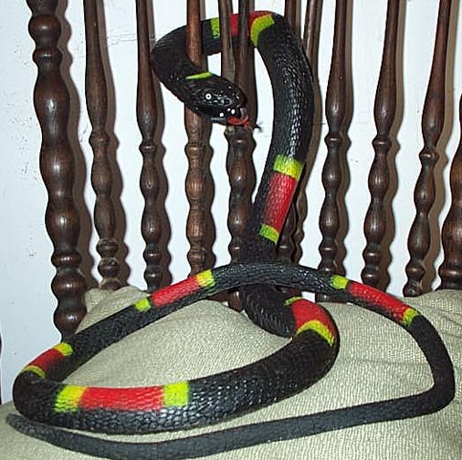 Coral Snake - Big & Rubbery