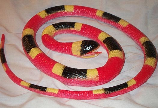 Coral Snake - Medium