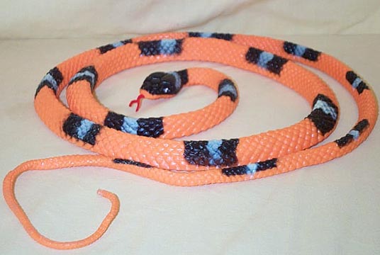 Eastern Milk Snake