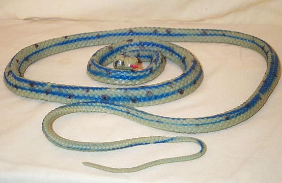 Blue Striped Gartersnake