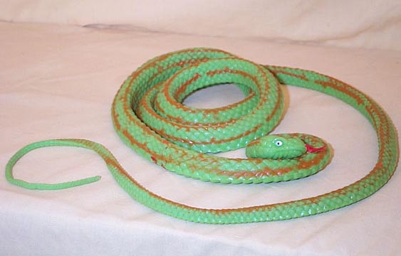 Green Hognosed Snake
