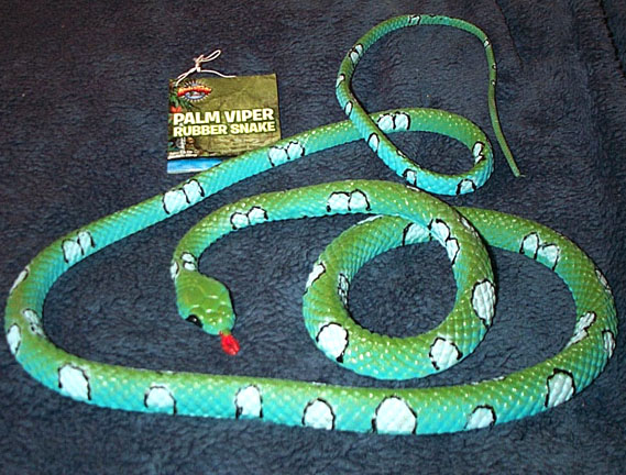 Palm Viper