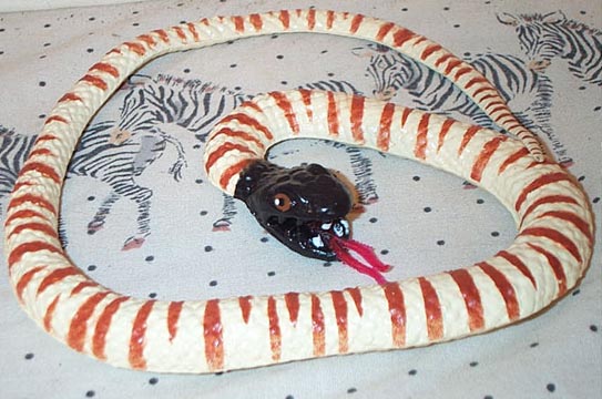 Blackheaded Python - Small