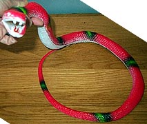 Red Striped Snake