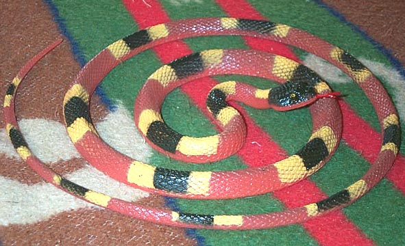 Coral Snake Mimic